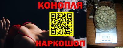 сатива Апшеронск