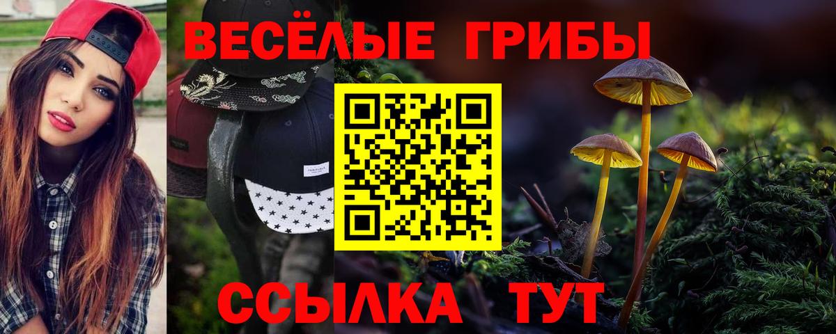 Каннабис  Гашиш  Бахчисарай  МЕФ кристаллы  Вход с VPN 