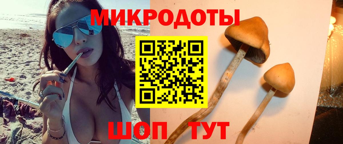 Бахчисарай  Псилоцибиновые грибы мицелий  Вход с VPN  цена наркотик  Галлюциногенные грибы мицелий 