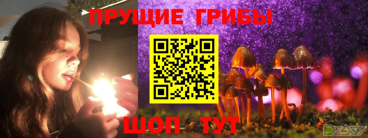 Галлюциногенные грибы Psilocybine cubensis Бахчисарай
